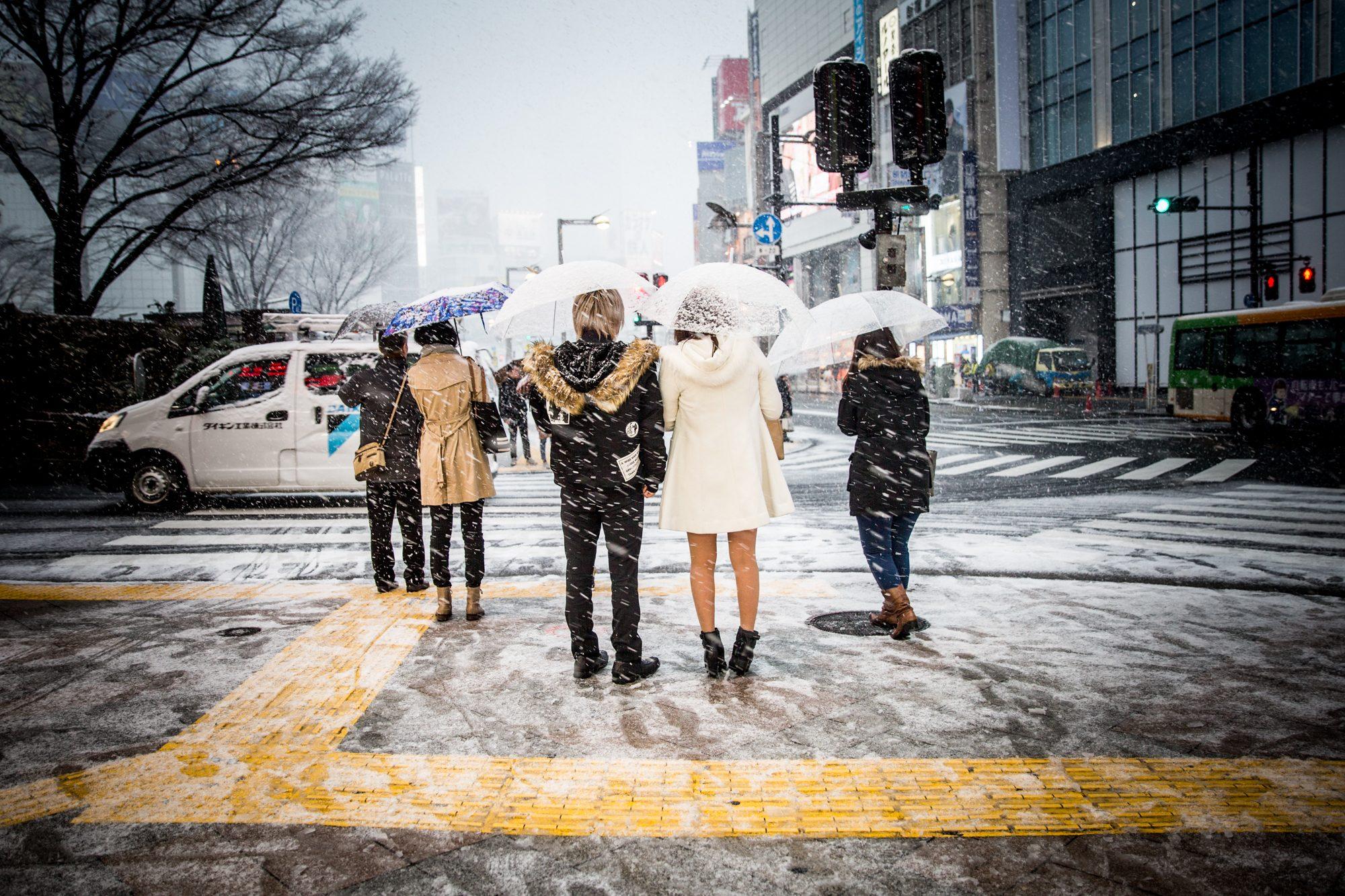 Umbrellas in falling snow, Tokyo