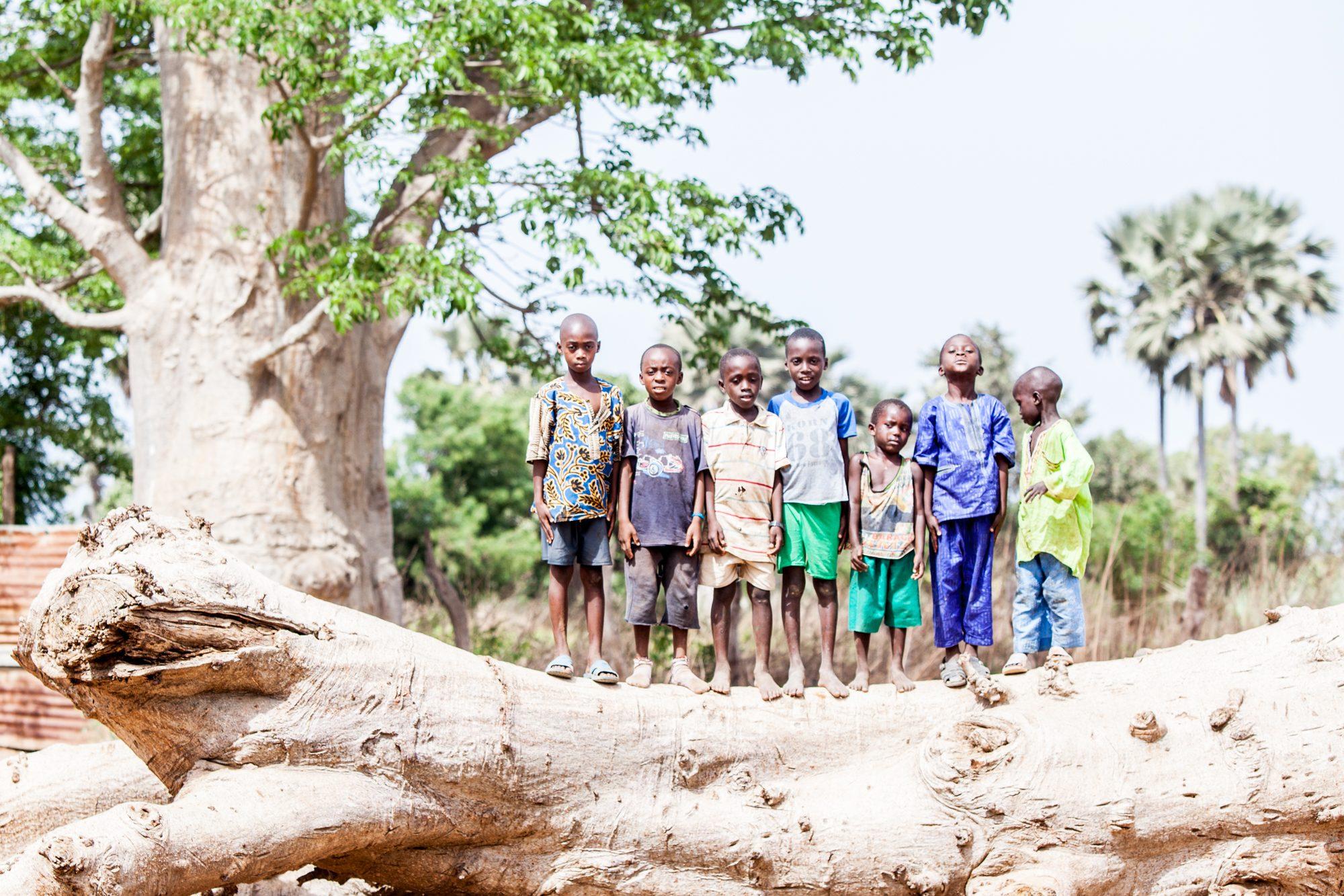 A Village in Gambia — photograph 15