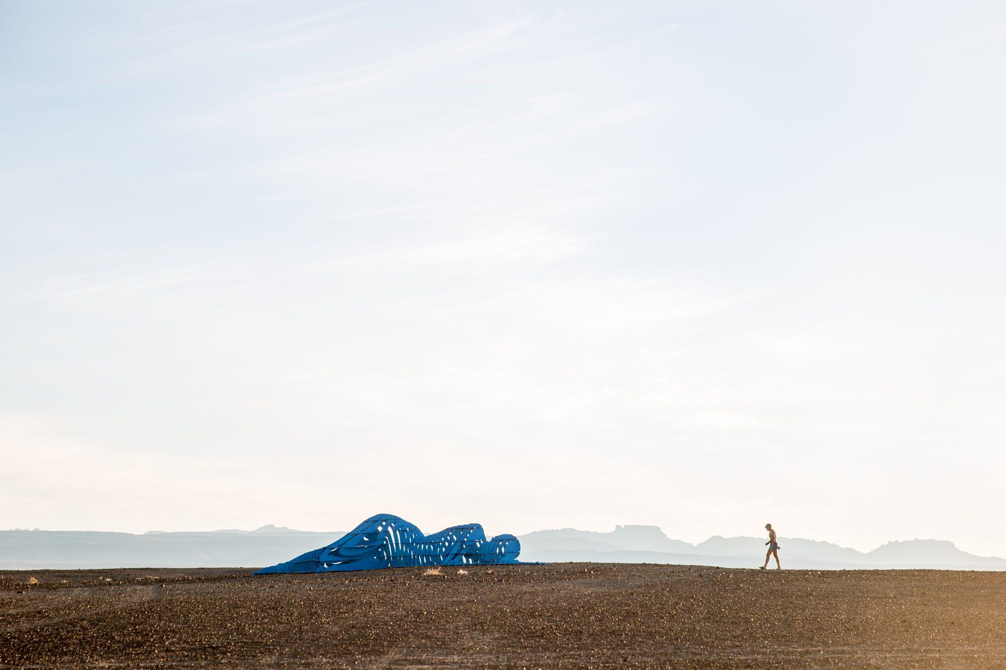 Afrikaburn — photograph 5