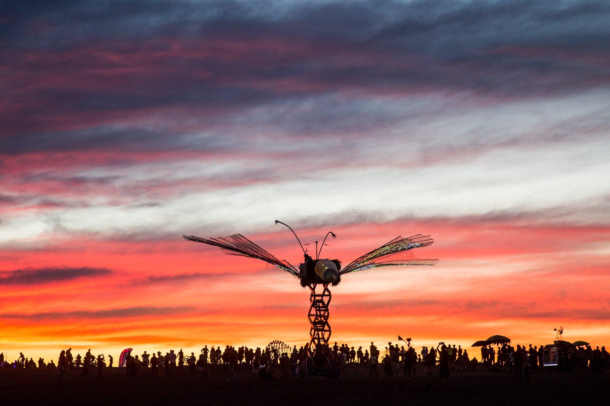 Afrikaburn — photograph 22