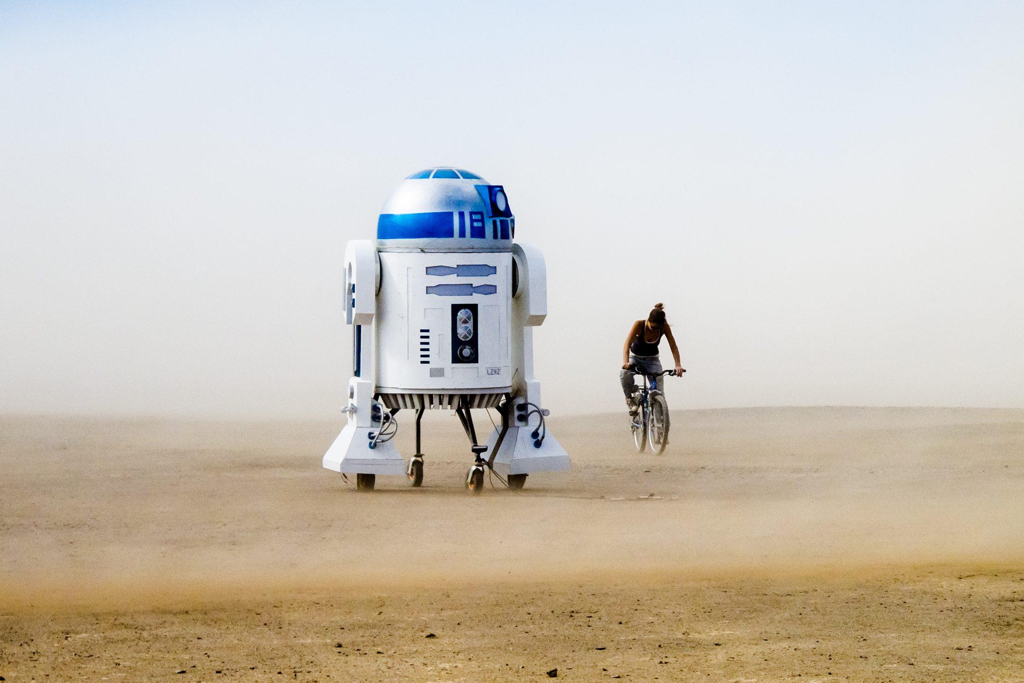Afrikaburn — photograph 29
