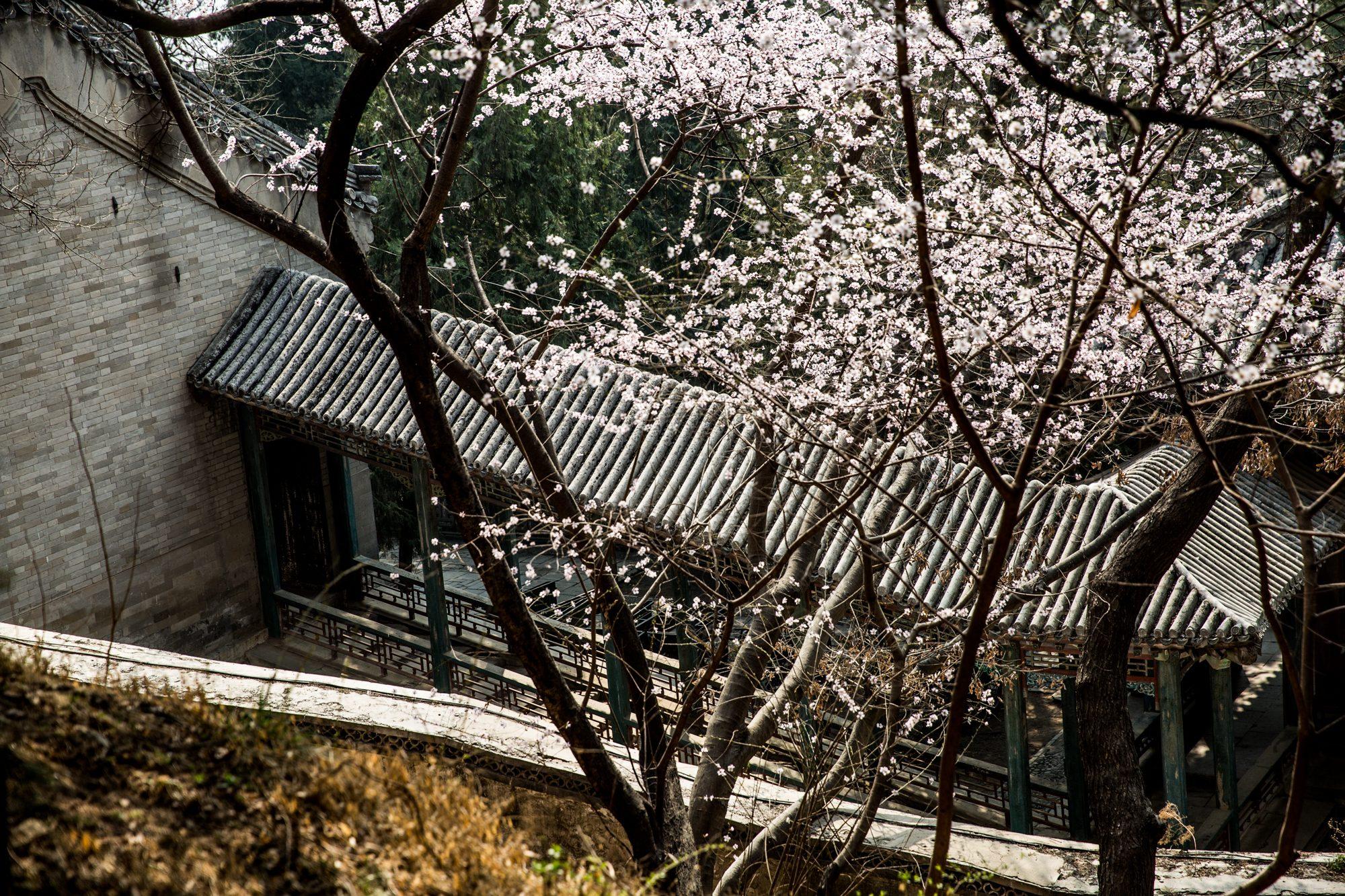 Beijing — photograph 6