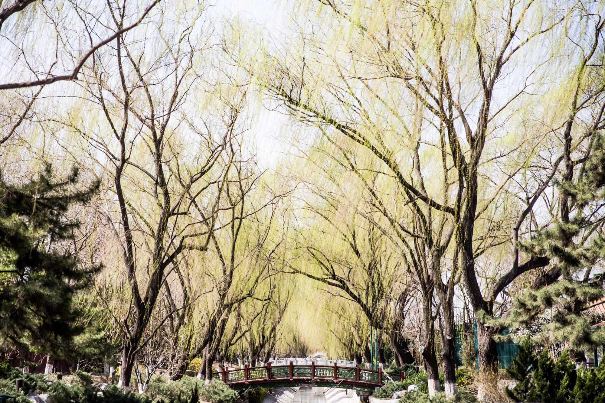 Beijing — photograph 27