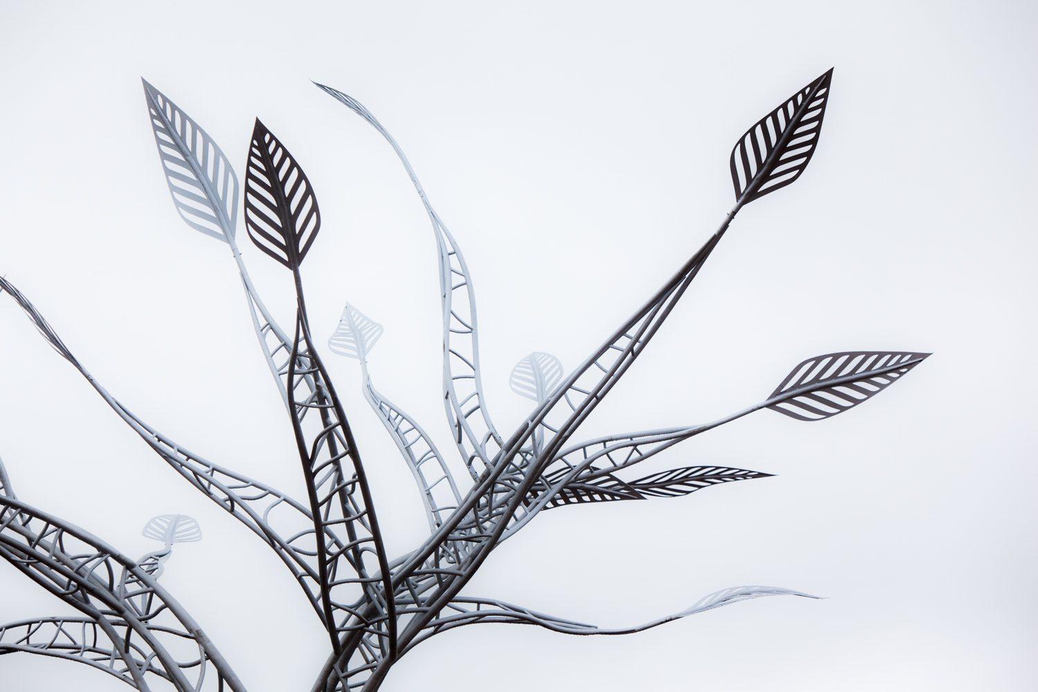 Daniel Popper — photograph 12