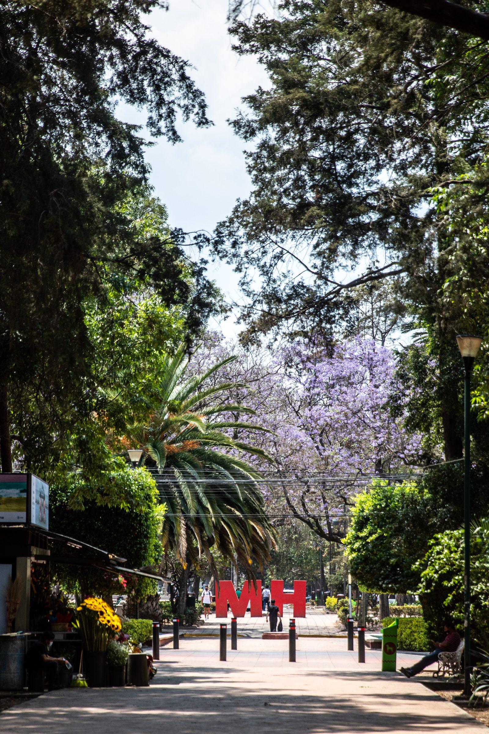Mexico City — photograph 22