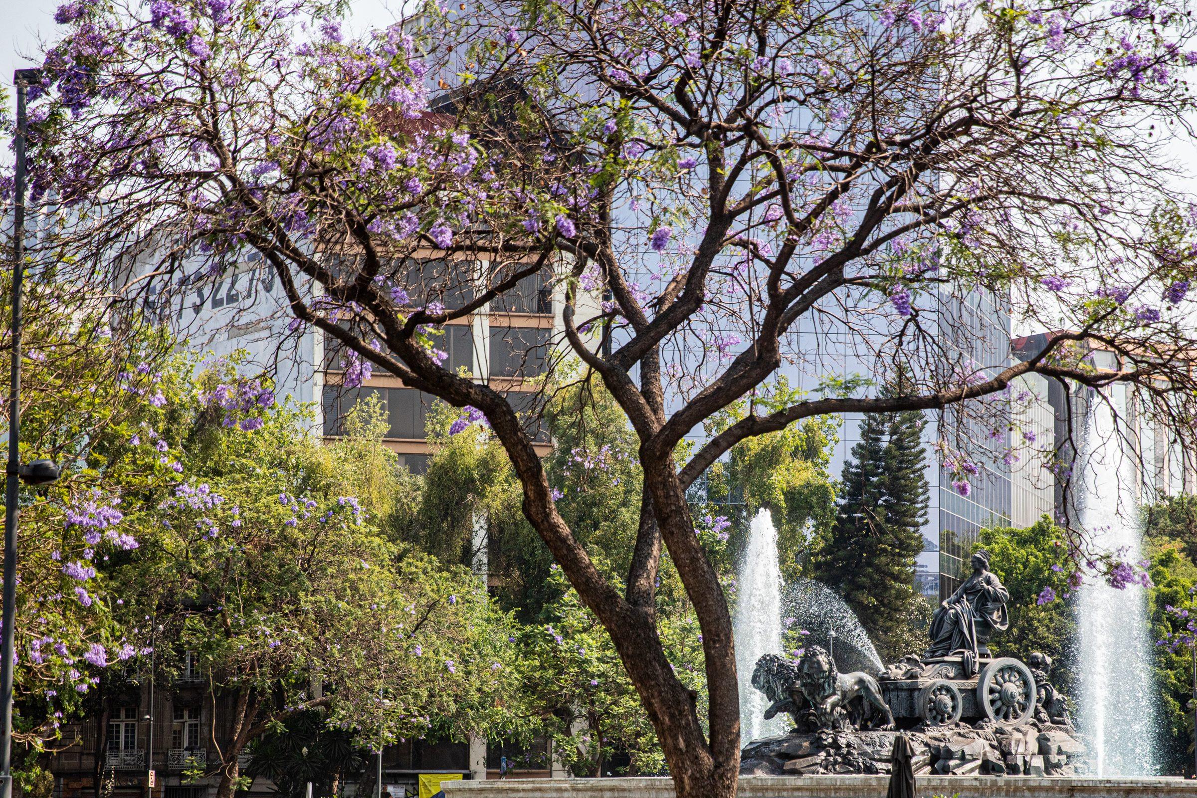 Mexico City — photograph 31