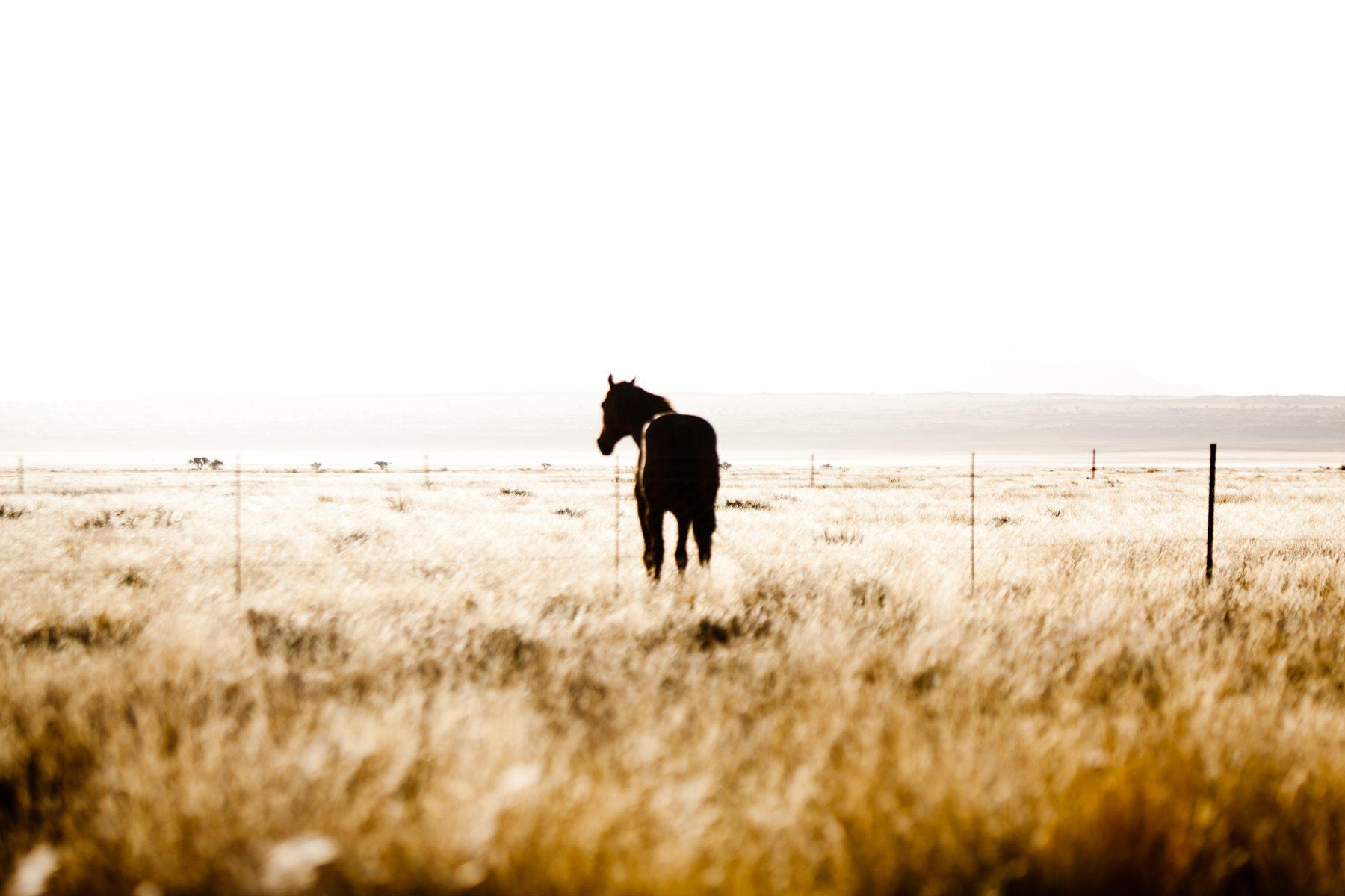 Namibia — photograph 11