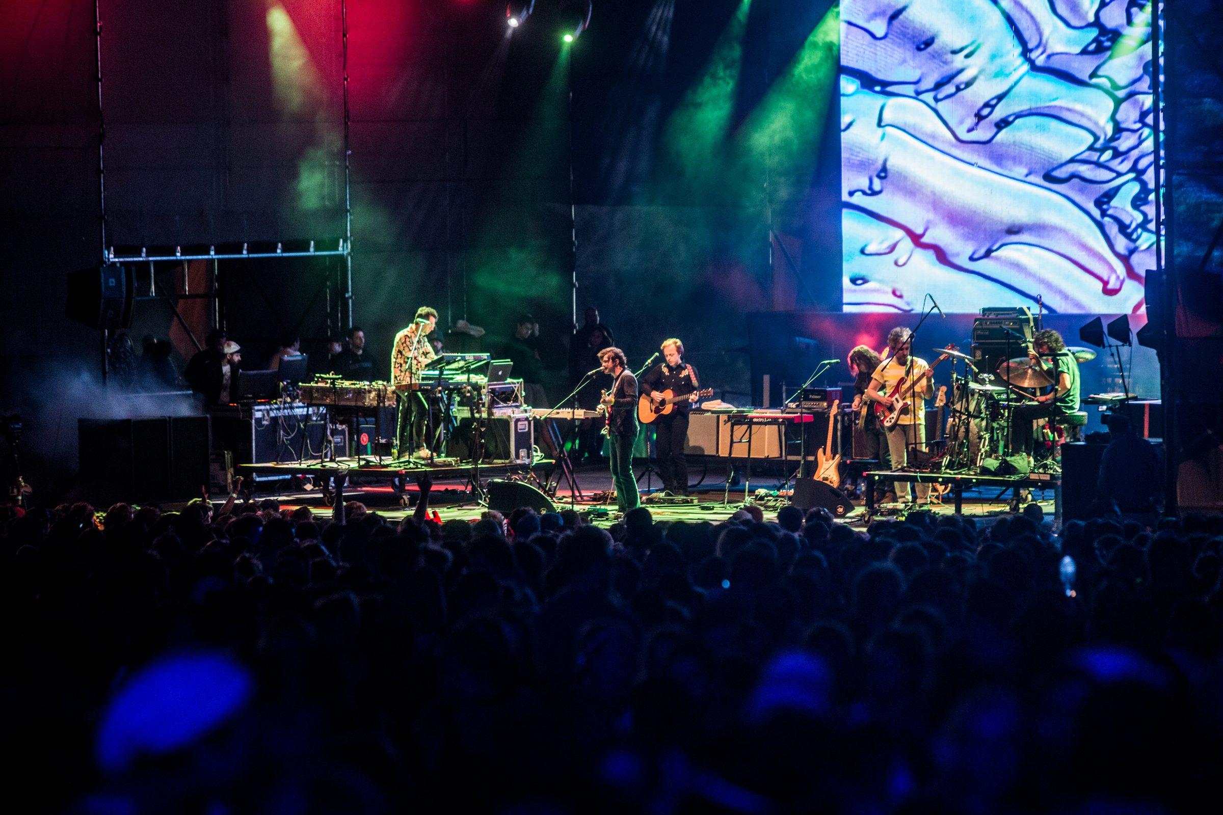 Rocking the Daisies — photograph 27