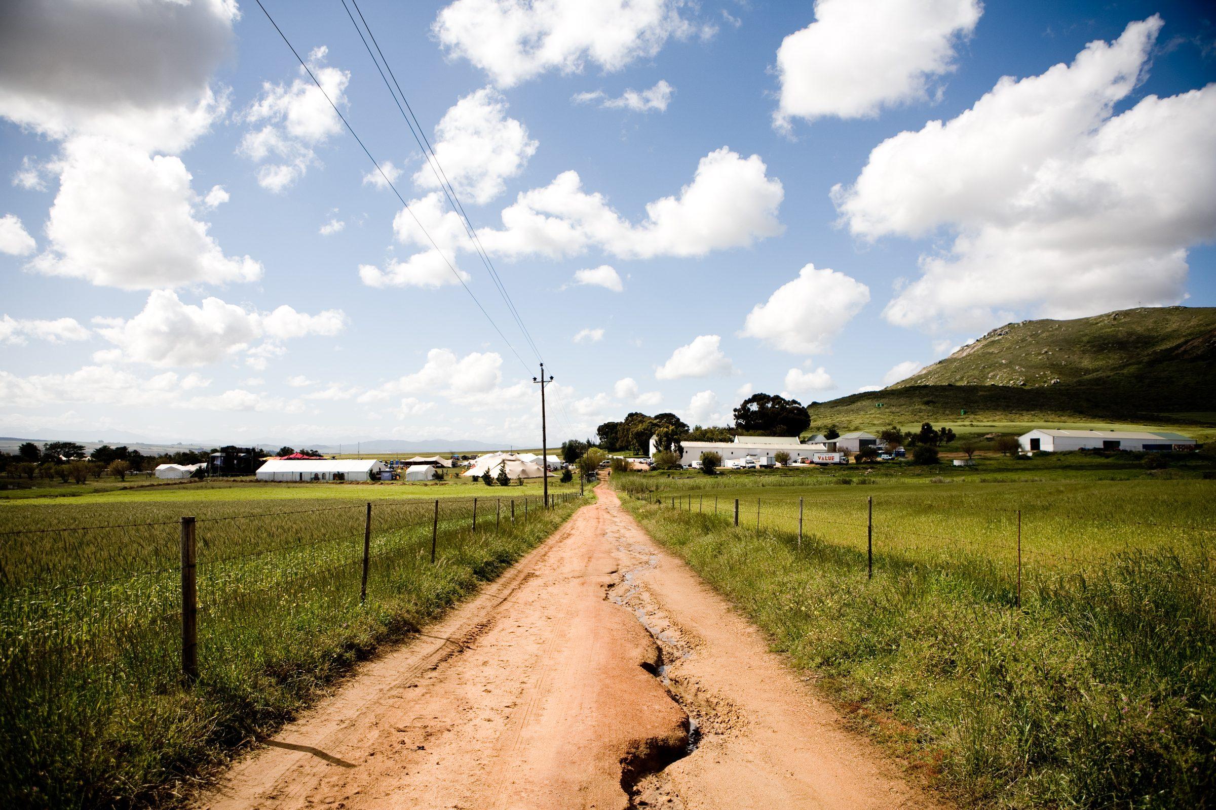 Rocking the Daisies — photograph 49