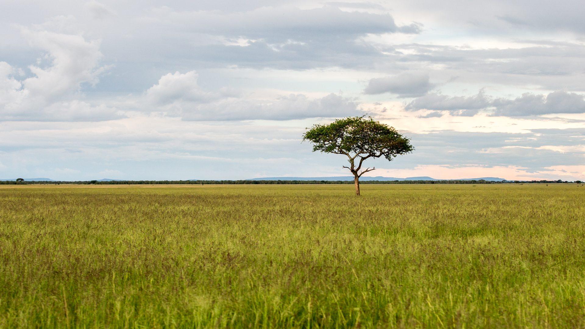 TANZANIA