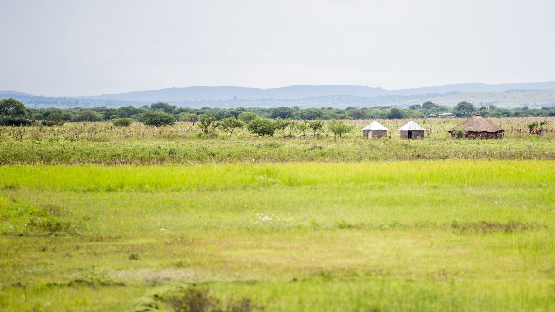 Tanzania — photograph 11