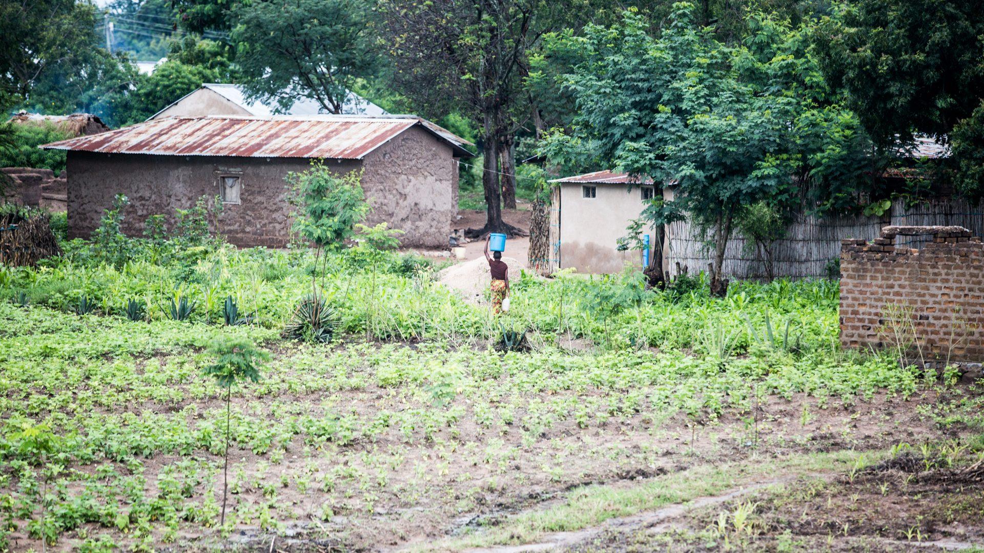 Tanzania — photograph 15